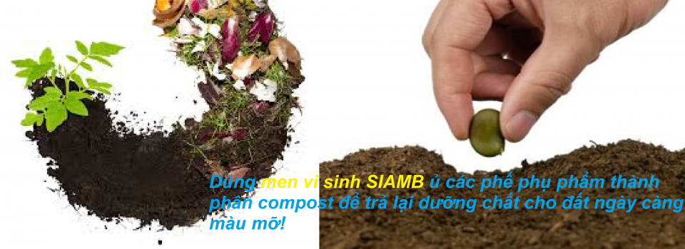 Siamb compost